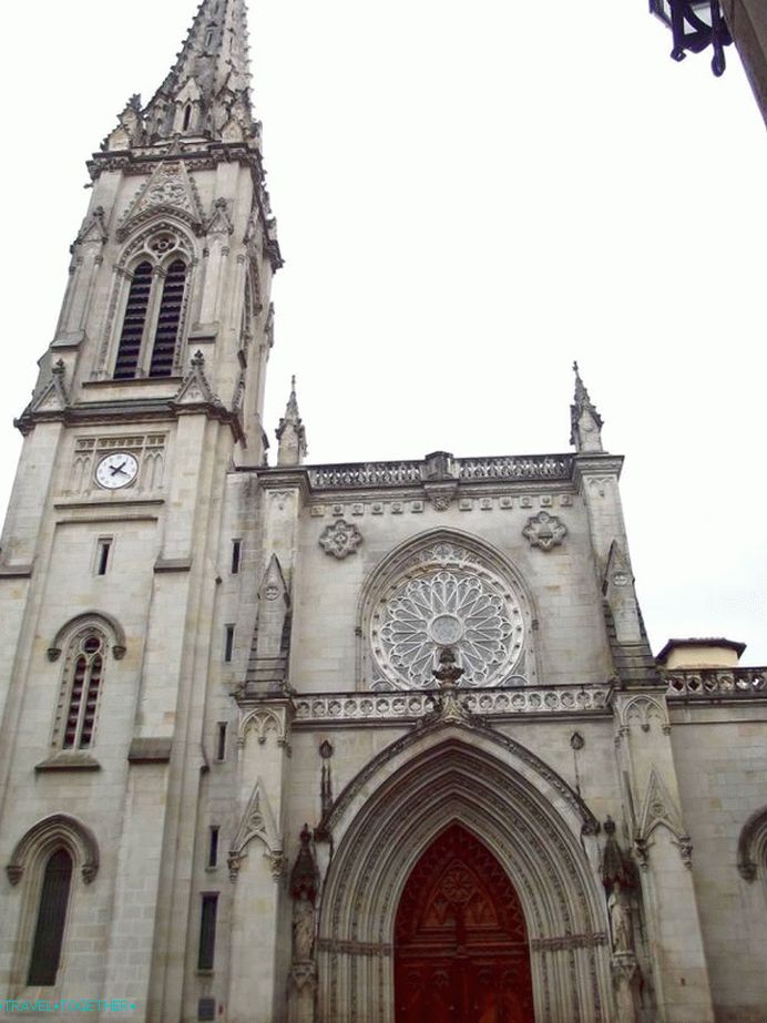 „Katedra”