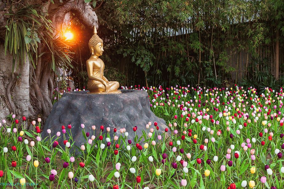 „Budda