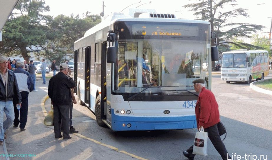 „Autobusy