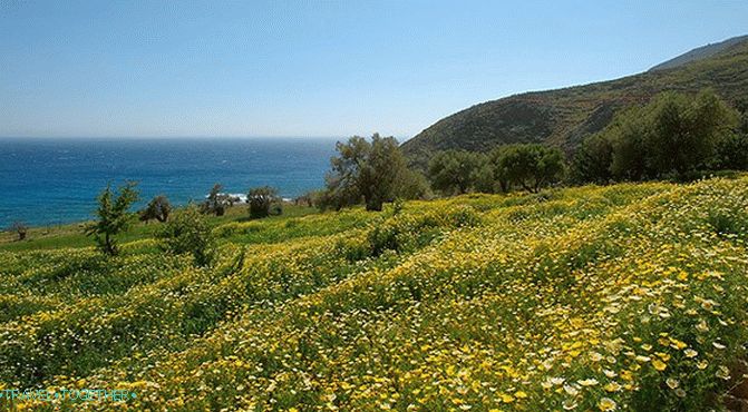 „wiosna