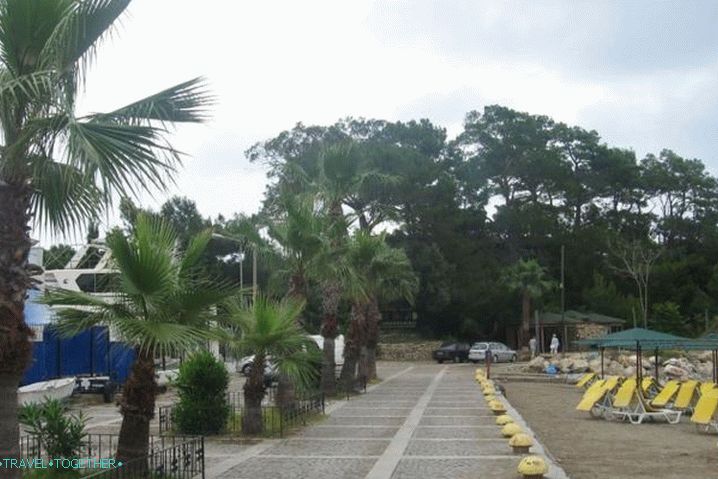 „Pogoda