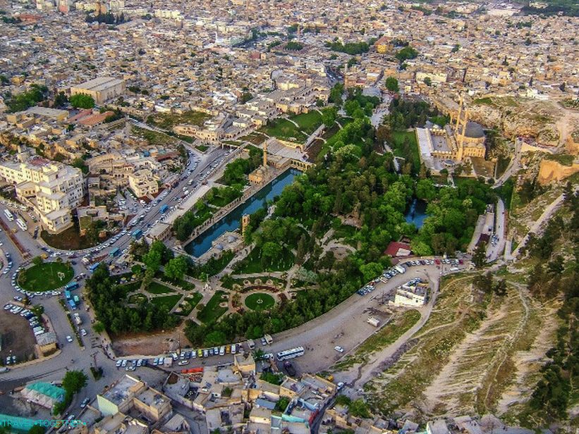 „Urfa”