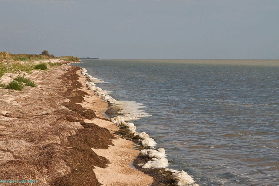 „Wybrzeże